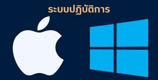 สร้างเว็บไซต์ php