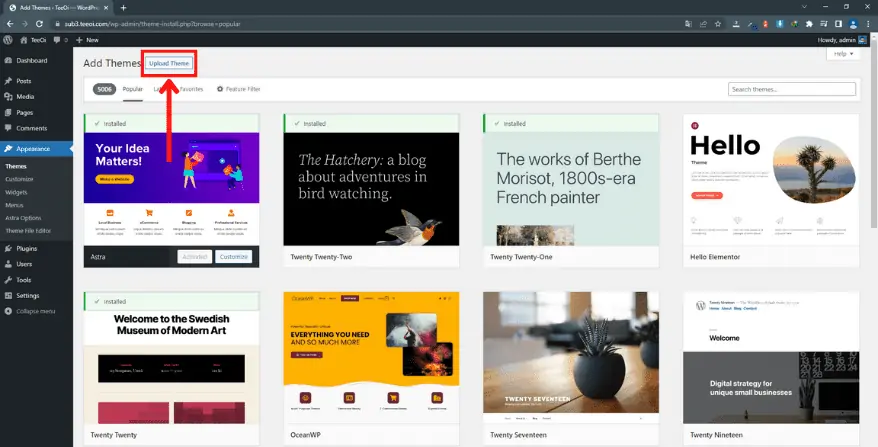 ติดตั้ง theme ใน wordpress