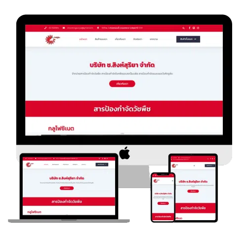 รับทำเว็บ Wordpress